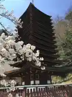 談山神社(奈良県)