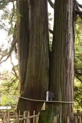 戸隠神社中社(長野県)