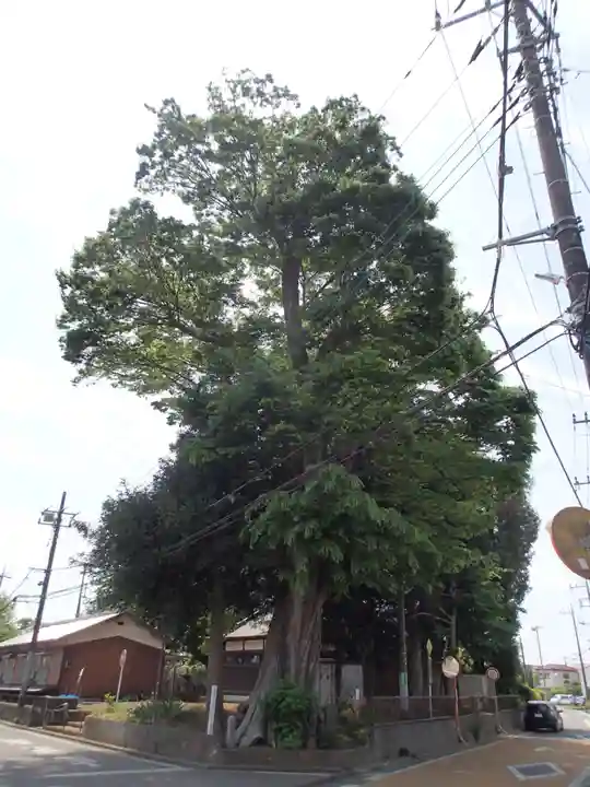神明神社の自然