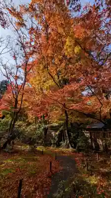 来迎院(京都府)