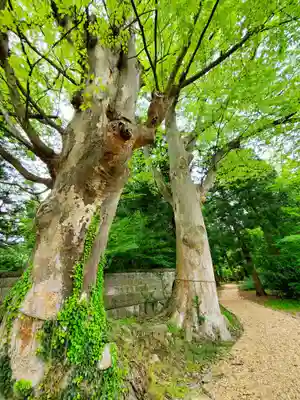 神炊館神社 ⁂奥州須賀川総鎮守⁂(福島県)
