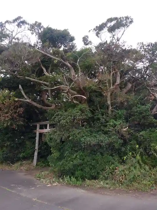 神社(名称不明)の鳥居