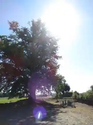 浄雲寺(茨城県)