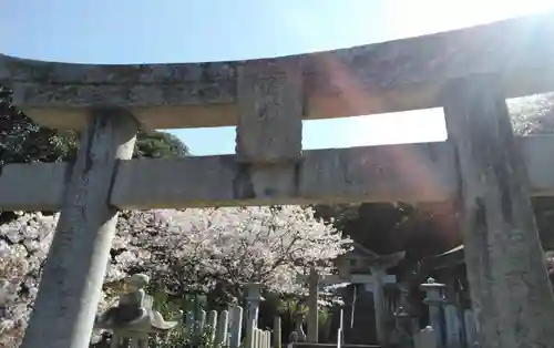 楯崎神社の鳥居