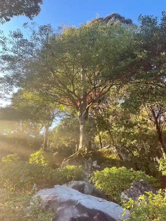 大興善寺(佐賀県)