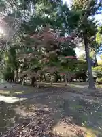 東蕗田天満社(茨城県)