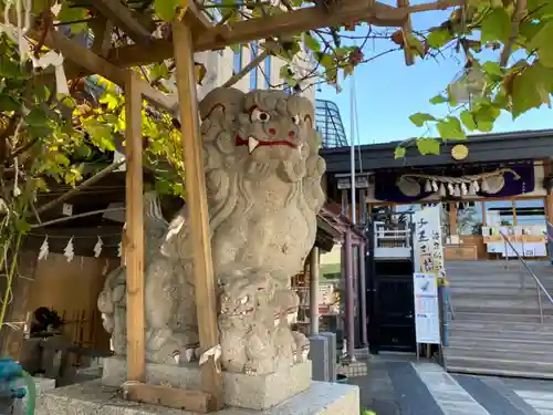 菊名神社の狛犬