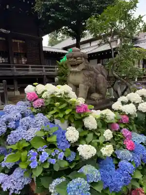 白山神社(東京都)