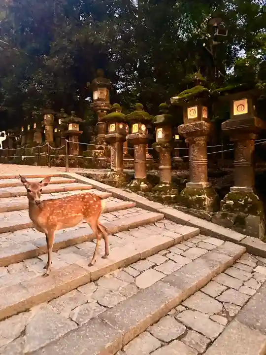 春日大社(奈良県)