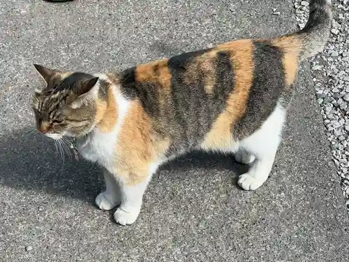 前玉神社(埼玉県)