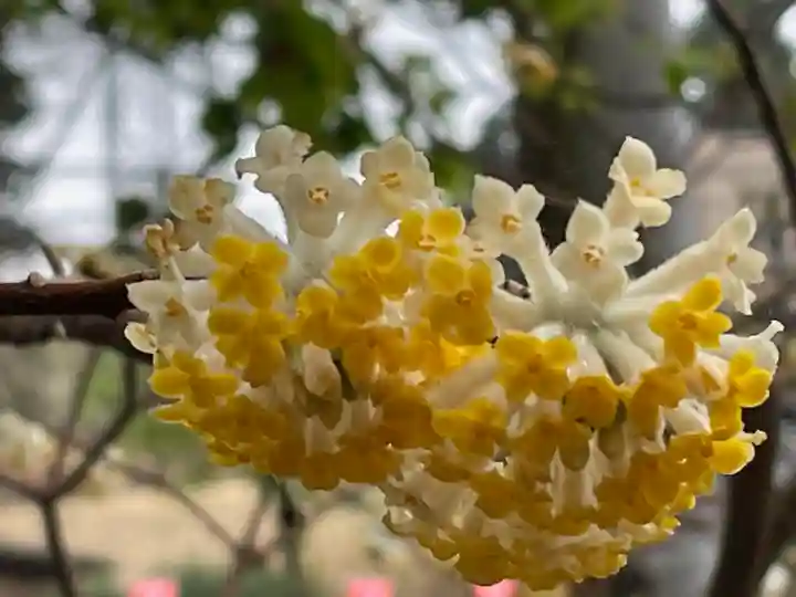 神野寺(千葉県)