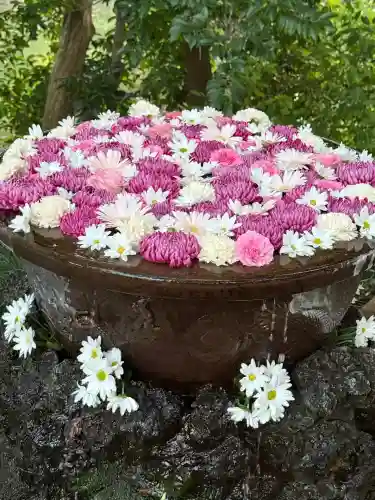武蔵一宮氷川神社(埼玉県)