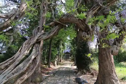 春日神社の庭園