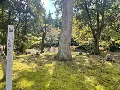 永保寺(岐阜県)