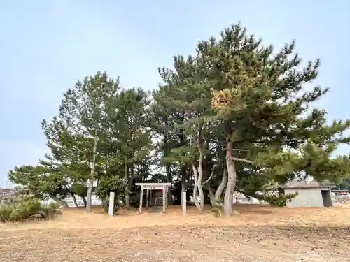 淀姫神社の建物その他