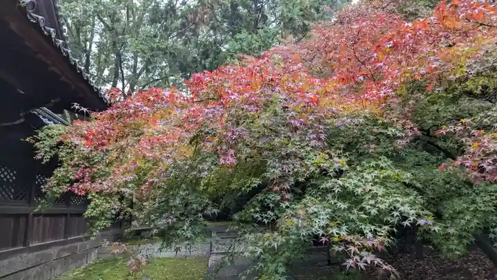 向日神社(京都府)