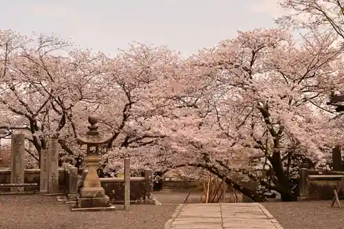 久妙寺(愛媛県)