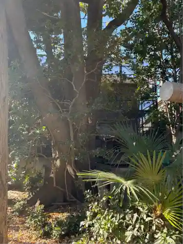 稲荷神社(東京都)