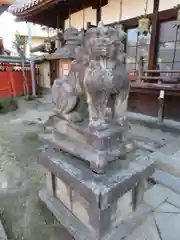 薬園八幡神社の狛犬