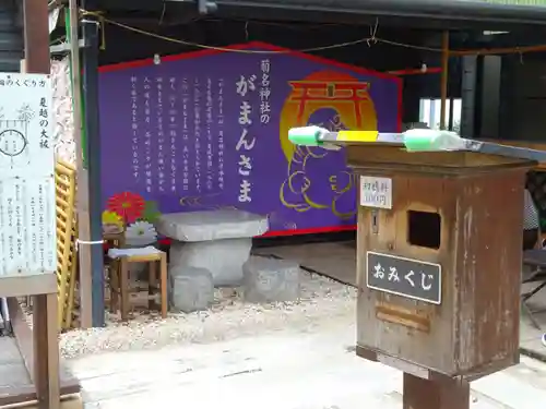 菊名神社のおみくじ