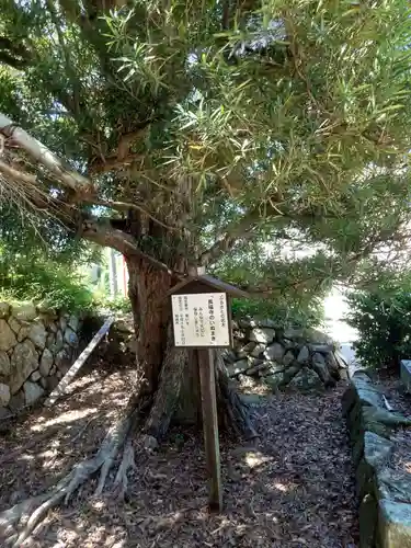 長福寺(愛知県)