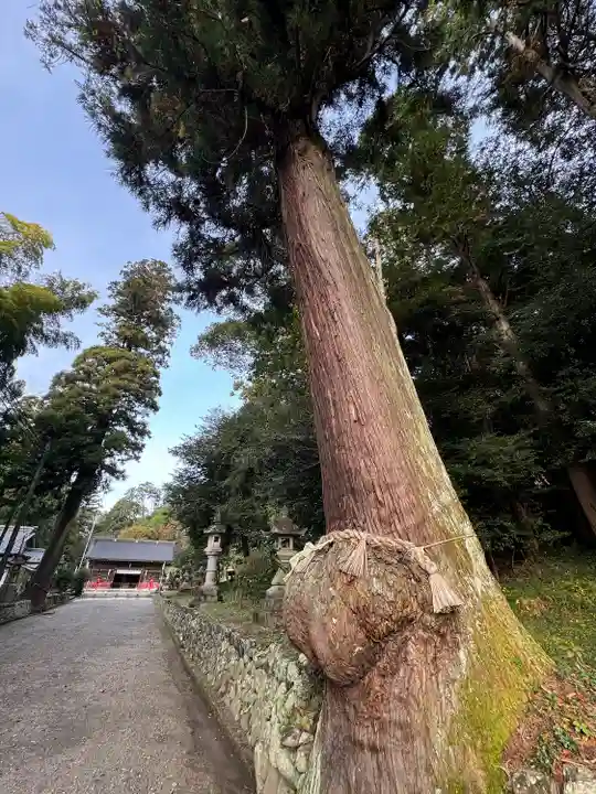 八幡神社(岐阜県)