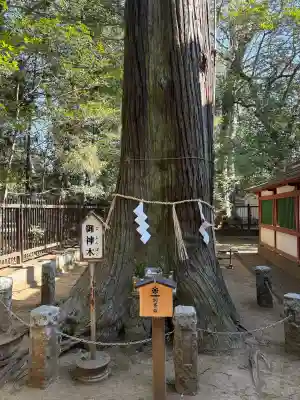 一言主神社の{uncategorized: "未分類", other: "その他", undefined: "問題あり", building: "その他建物", grave: "お墓", sacred_gate: "鳥居", guardian: "狛犬", statue: "像", buddha: "仏像", history: "歴史", nature: "自然", garden: "庭園", animal: "動物", pagoda: "塔", temizu: "手水舎", mountain_gate: "山門・神門", sanctuary: "本殿・本堂", subordinate: "末社・摂社", art: "芸術", scenery: "景色", jizo: "地蔵", ema: "絵馬", goshuin: "御朱印", omikuji: "おみくじ", items: "授与品その他", amulet: "お守り", goshuincho: "御朱印帳", eats: "食事", festival: "お祭り", votive_dance: "神楽", shichigosan: "七五三参", wedding: "結婚式", experience: "体験その他", initially: "初詣", around: "周辺", anti_infection: "感染症対策"}