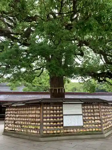 明治神宮(東京都)