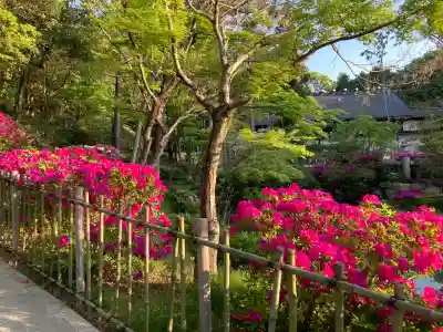 廣田神社(兵庫県)
