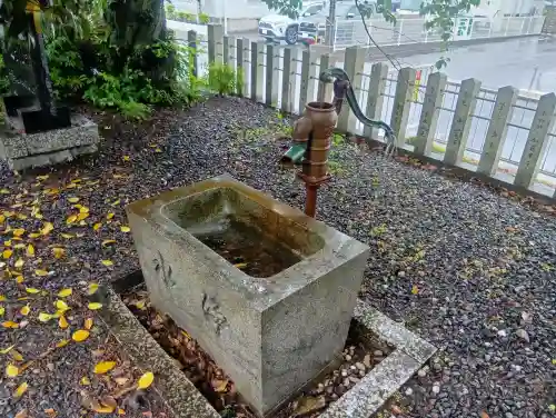 白山神社の{uncategorized: "未分類", other: "その他", undefined: "問題あり", building: "その他建物", grave: "お墓", sacred_gate: "鳥居", guardian: "狛犬", statue: "像", buddha: "仏像", history: "歴史", nature: "自然", garden: "庭園", animal: "動物", pagoda: "塔", temizu: "手水舎", mountain_gate: "山門・神門", sanctuary: "本殿・本堂", subordinate: "末社・摂社", art: "芸術", scenery: "景色", jizo: "地蔵", ema: "絵馬", goshuin: "御朱印", omikuji: "おみくじ", items: "授与品その他", amulet: "お守り", goshuincho: "御朱印帳", eats: "食事", festival: "お祭り", votive_dance: "神楽", shichigosan: "七五三参", wedding: "結婚式", experience: "体験その他", initially: "初詣", around: "周辺", anti_infection: "感染症対策"}