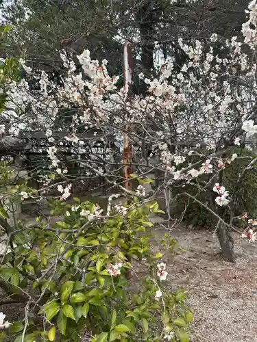 玉井宮東照宮(岡山県)