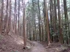 名草厳島神社の自然