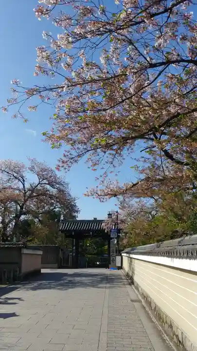 建仁寺(建仁禅寺)の自然
