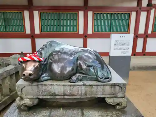 太宰府天満宮の狛犬