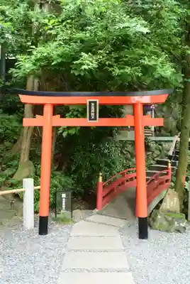 來宮神社(静岡県)