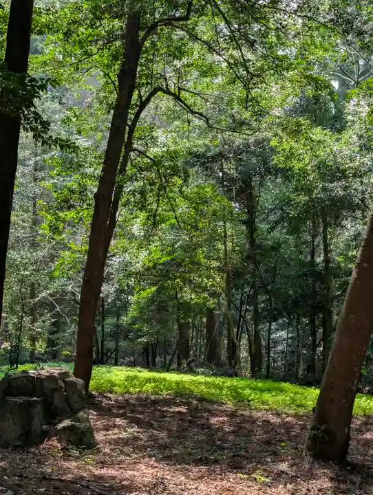 伊和神社の{uncategorized: "未分類", other: "その他", undefined: "問題あり", building: "その他建物", grave: "お墓", sacred_gate: "鳥居", guardian: "狛犬", statue: "像", buddha: "仏像", history: "歴史", nature: "自然", garden: "庭園", animal: "動物", pagoda: "塔", temizu: "手水舎", mountain_gate: "山門・神門", sanctuary: "本殿・本堂", subordinate: "末社・摂社", art: "芸術", scenery: "景色", jizo: "地蔵", ema: "絵馬", goshuin: "御朱印", omikuji: "おみくじ", items: "授与品その他", amulet: "お守り", goshuincho: "御朱印帳", eats: "食事", festival: "お祭り", votive_dance: "神楽", shichigosan: "七五三参", wedding: "結婚式", experience: "体験その他", initially: "初詣", around: "周辺", anti_infection: "感染症対策"}