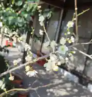 出雲大社倉敷教会(岡山県)