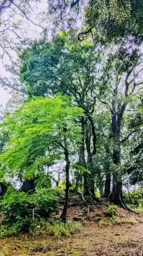 七百餘所神社 の自然