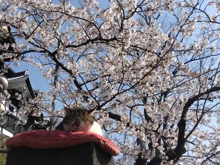 伊部波島大神(新潟県)