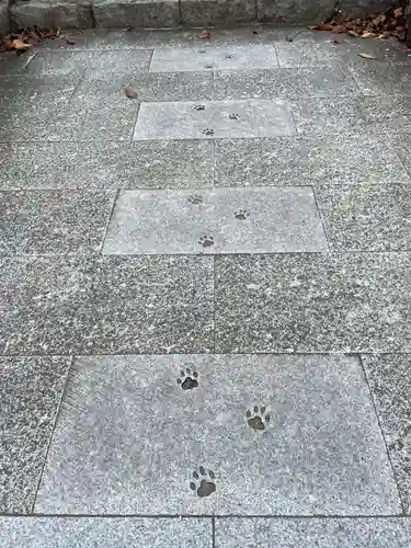 お松大権現(徳島県)