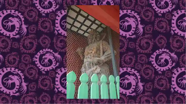 普明寺大日堂(東京都)