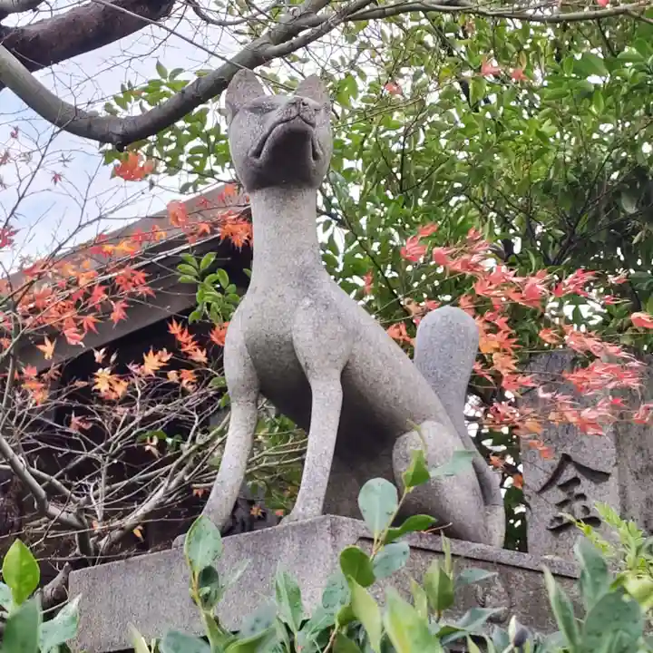 徳王稲荷社・金刀比羅社の狛犬