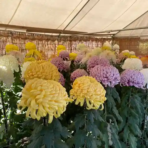 塩船観音寺の自然