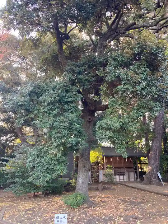 玉川神社(東京都)