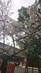 津島神社の自然