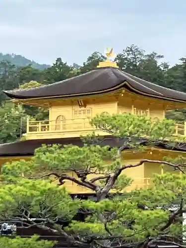 鹿苑寺（金閣寺）の{uncategorized: "未分類", other: "その他", undefined: "問題あり", building: "その他建物", grave: "お墓", sacred_gate: "鳥居", guardian: "狛犬", statue: "像", buddha: "仏像", history: "歴史", nature: "自然", garden: "庭園", animal: "動物", pagoda: "塔", temizu: "手水舎", mountain_gate: "山門・神門", sanctuary: "本殿・本堂", subordinate: "末社・摂社", art: "芸術", scenery: "景色", jizo: "地蔵", ema: "絵馬", goshuin: "御朱印", omikuji: "おみくじ", items: "授与品その他", amulet: "お守り", goshuincho: "御朱印帳", eats: "食事", festival: "お祭り", votive_dance: "神楽", shichigosan: "七五三参", wedding: "結婚式", experience: "体験その他", initially: "初詣", around: "周辺", anti_infection: "感染症対策"}