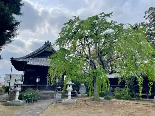 大正寺の{uncategorized: "未分類", other: "その他", undefined: "問題あり", building: "その他建物", grave: "お墓", sacred_gate: "鳥居", guardian: "狛犬", statue: "像", buddha: "仏像", history: "歴史", nature: "自然", garden: "庭園", animal: "動物", pagoda: "塔", temizu: "手水舎", mountain_gate: "山門・神門", sanctuary: "本殿・本堂", subordinate: "末社・摂社", art: "芸術", scenery: "景色", jizo: "地蔵", ema: "絵馬", goshuin: "御朱印", omikuji: "おみくじ", items: "授与品その他", amulet: "お守り", goshuincho: "御朱印帳", eats: "食事", festival: "お祭り", votive_dance: "神楽", shichigosan: "七五三参", wedding: "結婚式", experience: "体験その他", initially: "初詣", around: "周辺", anti_infection: "感染症対策"}