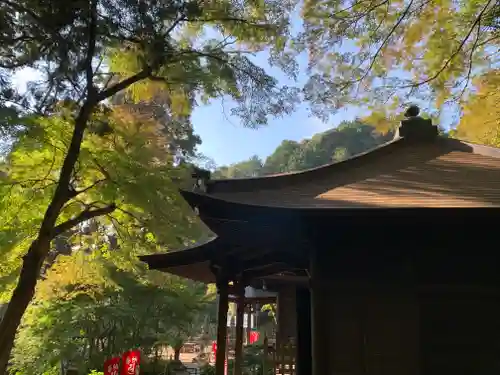 普門寺(切り絵御朱印発祥の寺)(愛知県)