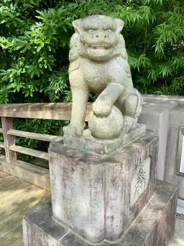 來宮神社の狛犬