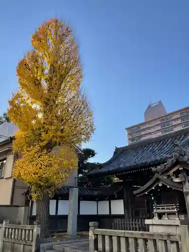 泊船軒(東京都)